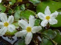 2018年聞思修佛學班