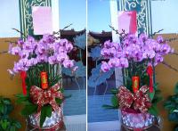 普陀精舍成立十週年慶活動剪影