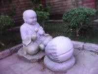 2017年聞思修佛學班