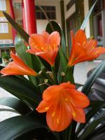 2017年《瑜伽師地論》耕讀班